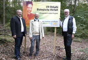 UN-Dekade Wald für die Seele