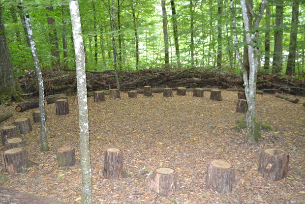 Waldbühne Wald für die Seele