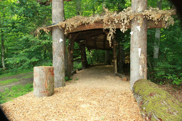 Eingang Wald für die Seele