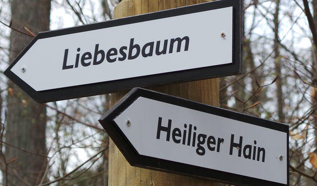 Wald für die Seele