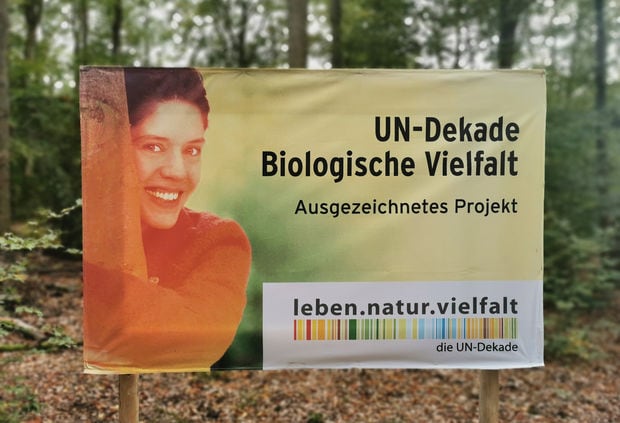 Wald für die Seele - Projekt der UN Dekade