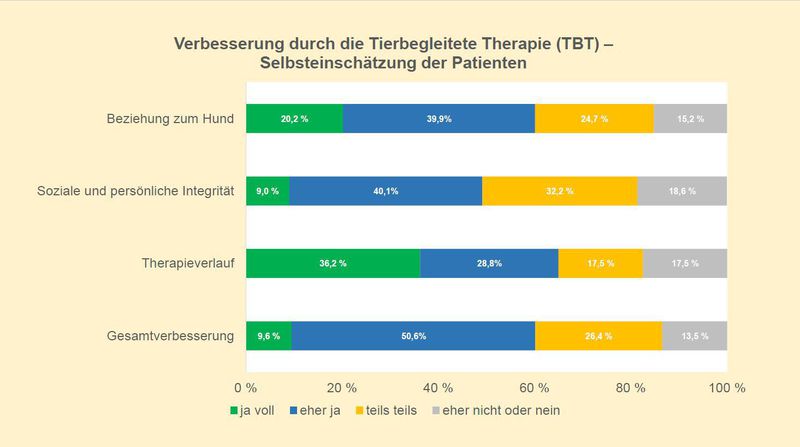 csm TBT Selbsteinschaetzung Patienten 1e8ef2f494