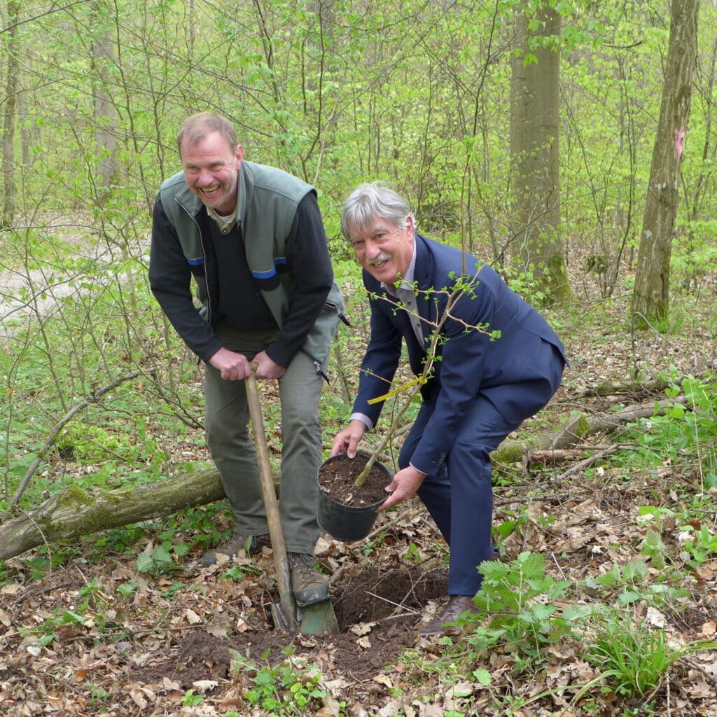 2017 – Wald für die Seele