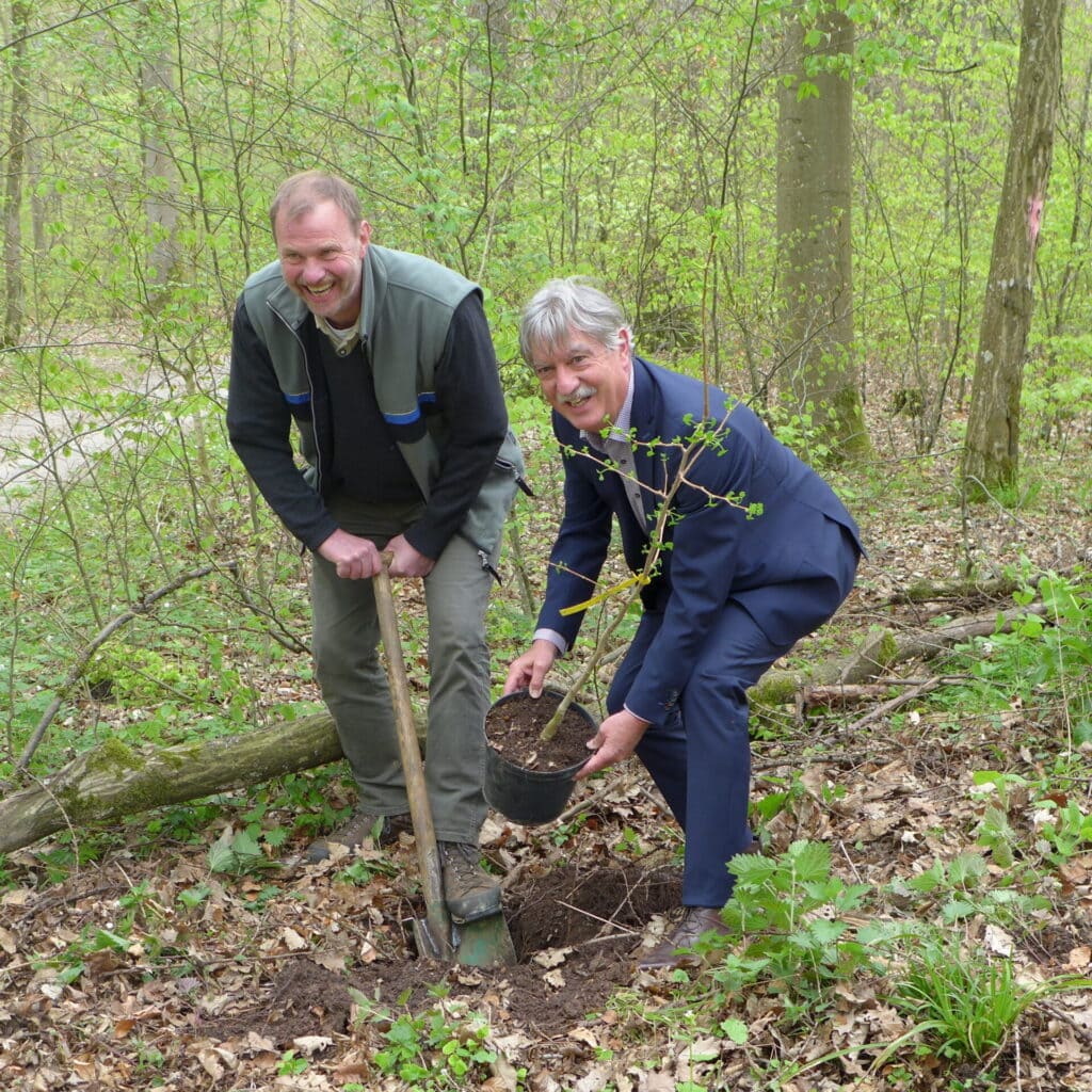 Wald für die Seele