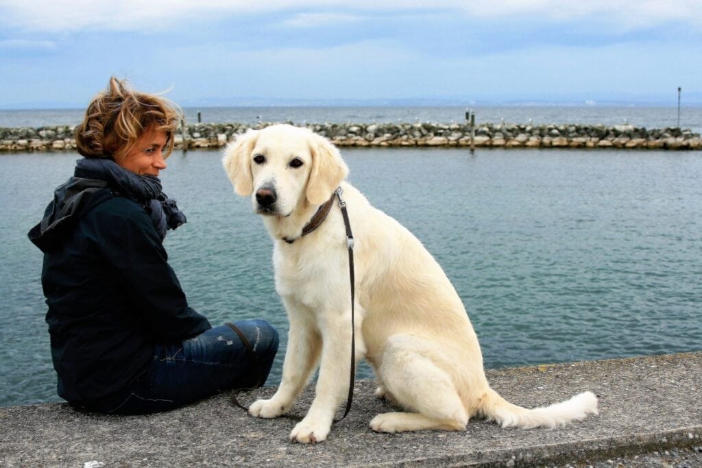 Frau und Hund sitzen am Meer