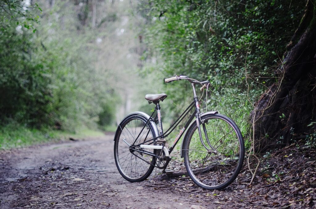 Fahrrad auf Waldweg