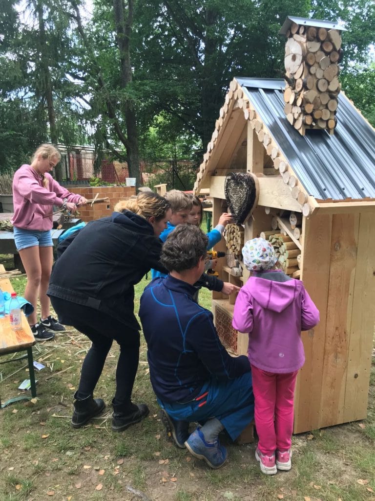 Bau eines Bienen- und Insektenhotels