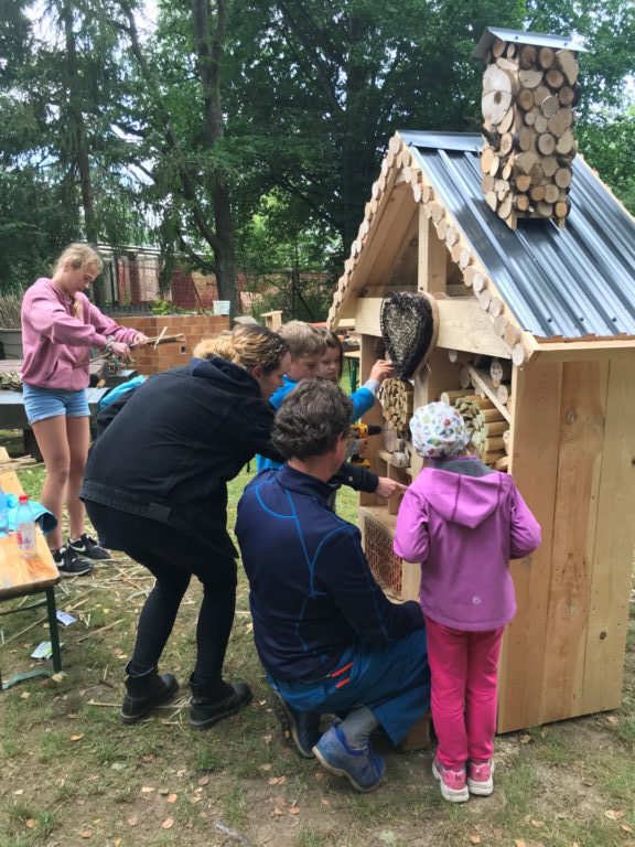 Bau eines Bienen- und Insektenhotels