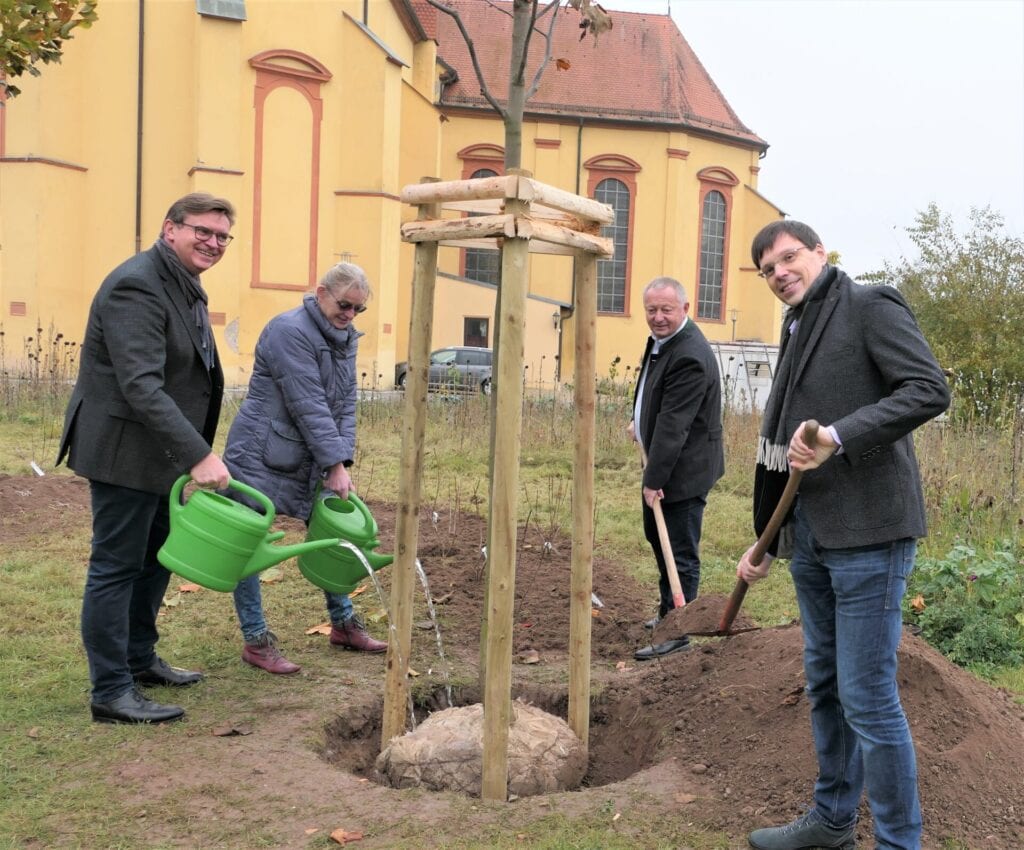 Spende von Bäumen