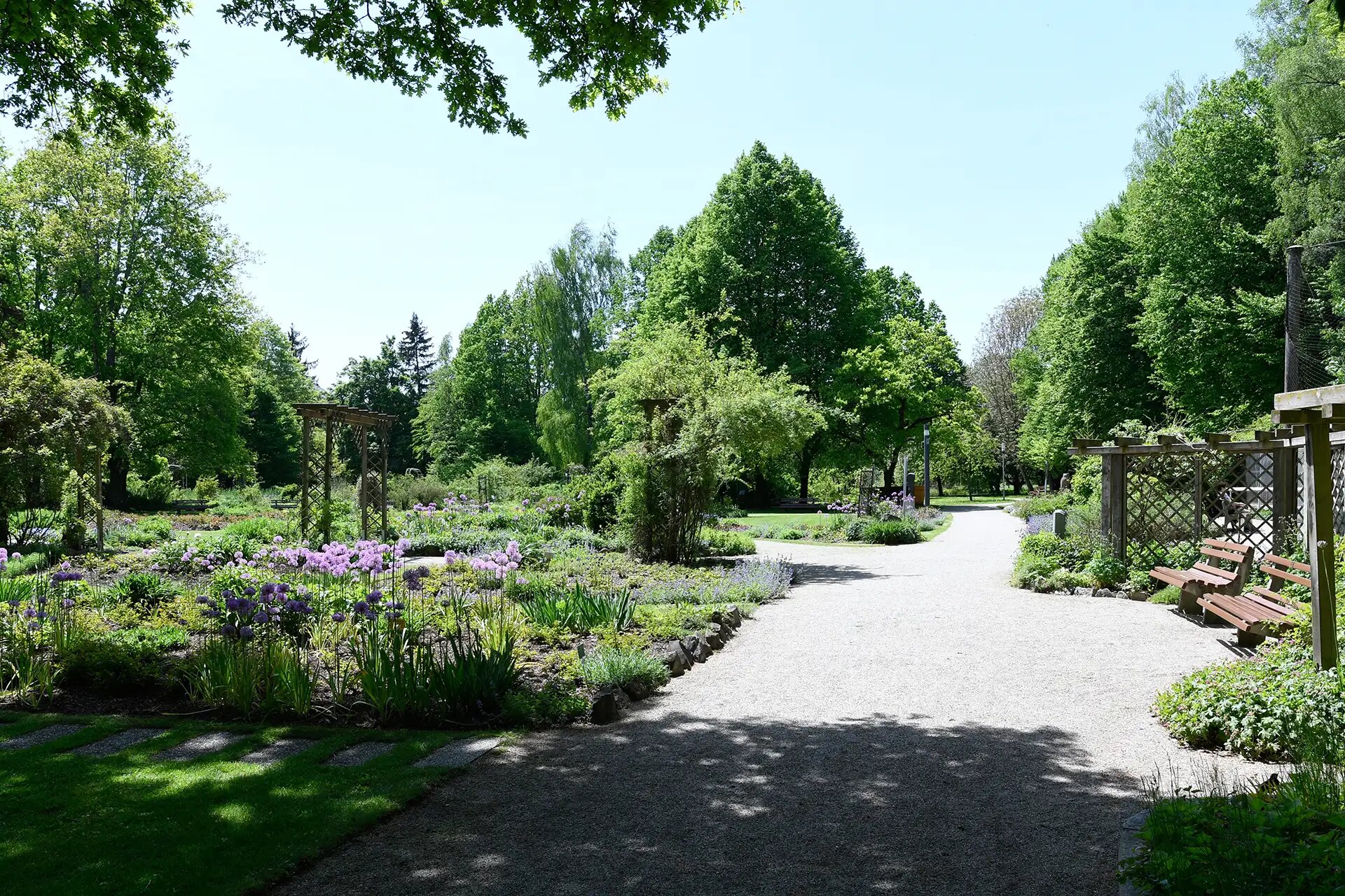 Weg durch bluehenden Garten mit Sitzbaenken und ueppiger Vegetation.