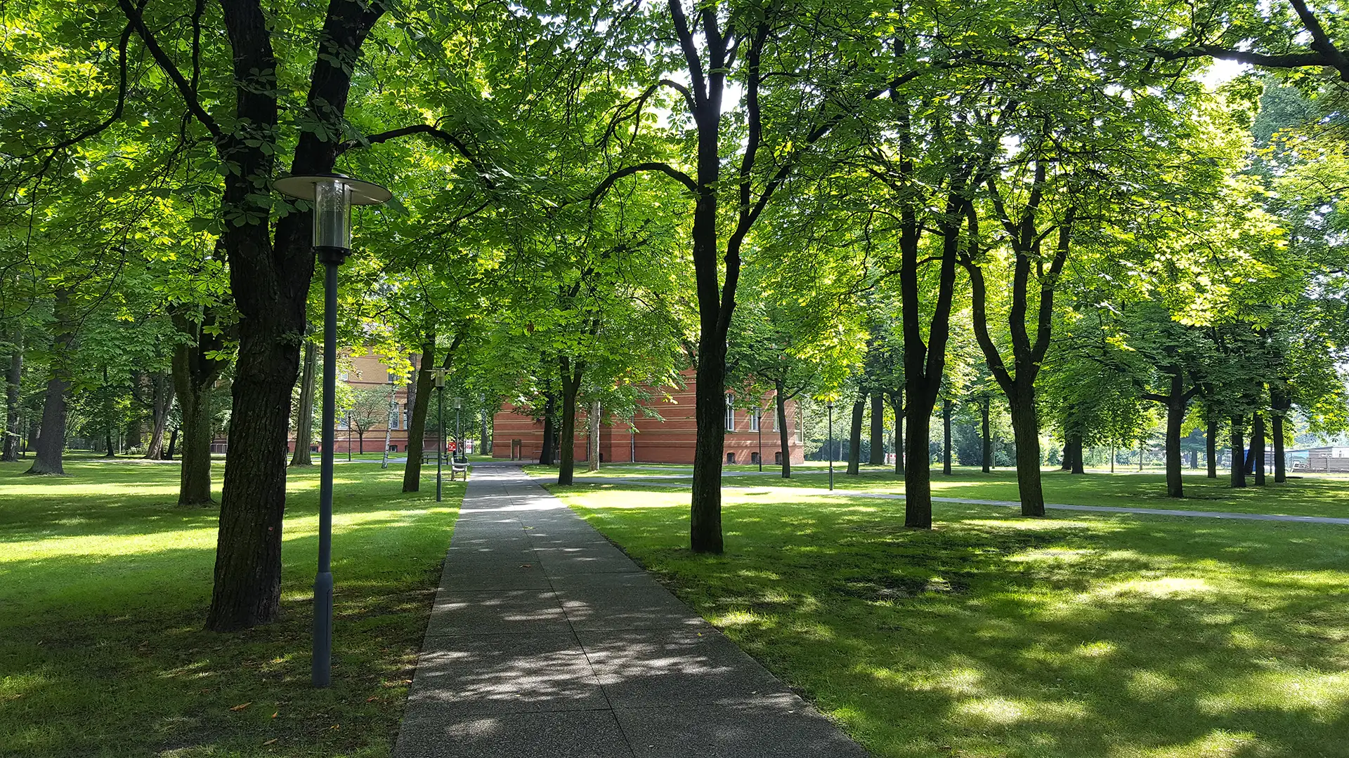 Ziegelgebäude hinter von Bäumen gesäumtem Weg im grünen Park.