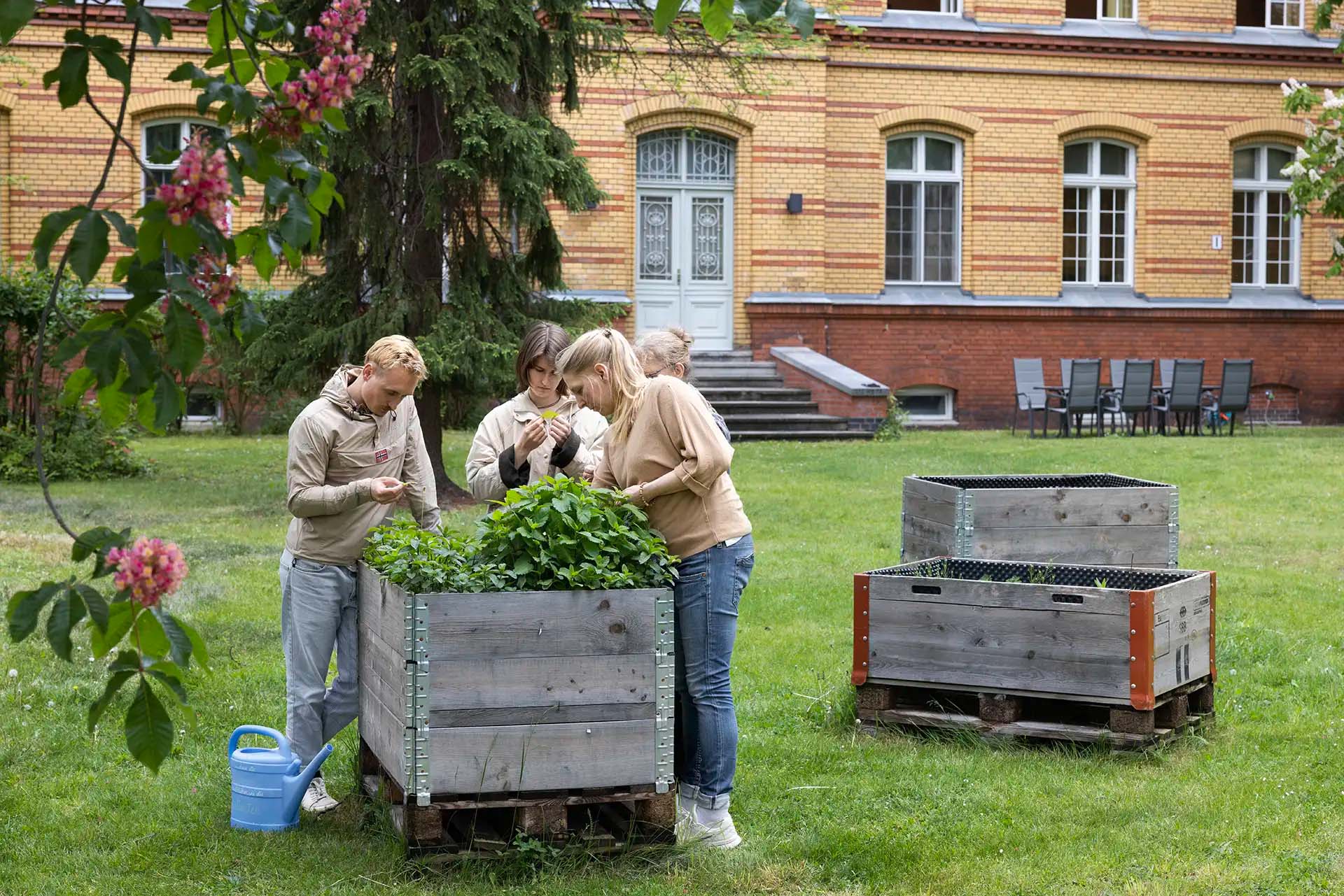 Gartengruppe pflegt Pflanzen in Hochbeeten vor einem historischen Gebaeude.
