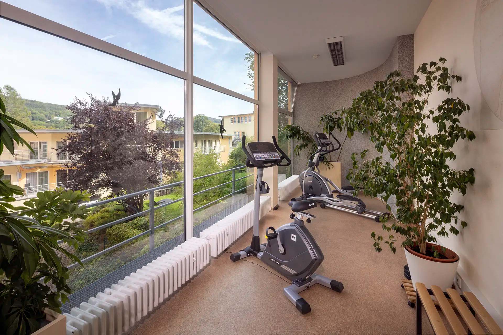 Heller Fitnessraum mit Trainingsgeräten und Blick ins Grüne.