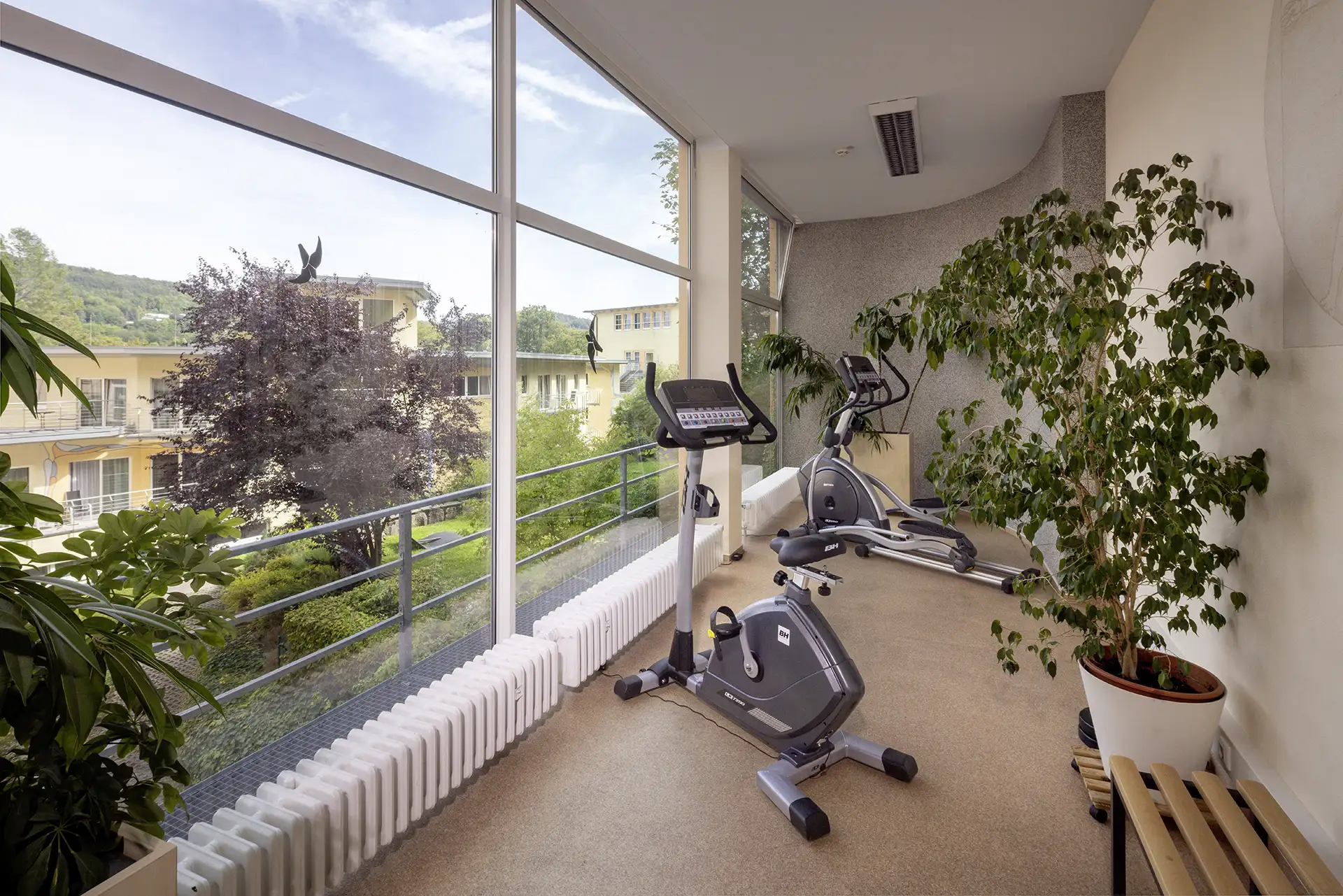 Heller Fitnessraum mit Trainingsgeräten und Blick ins Grüne.