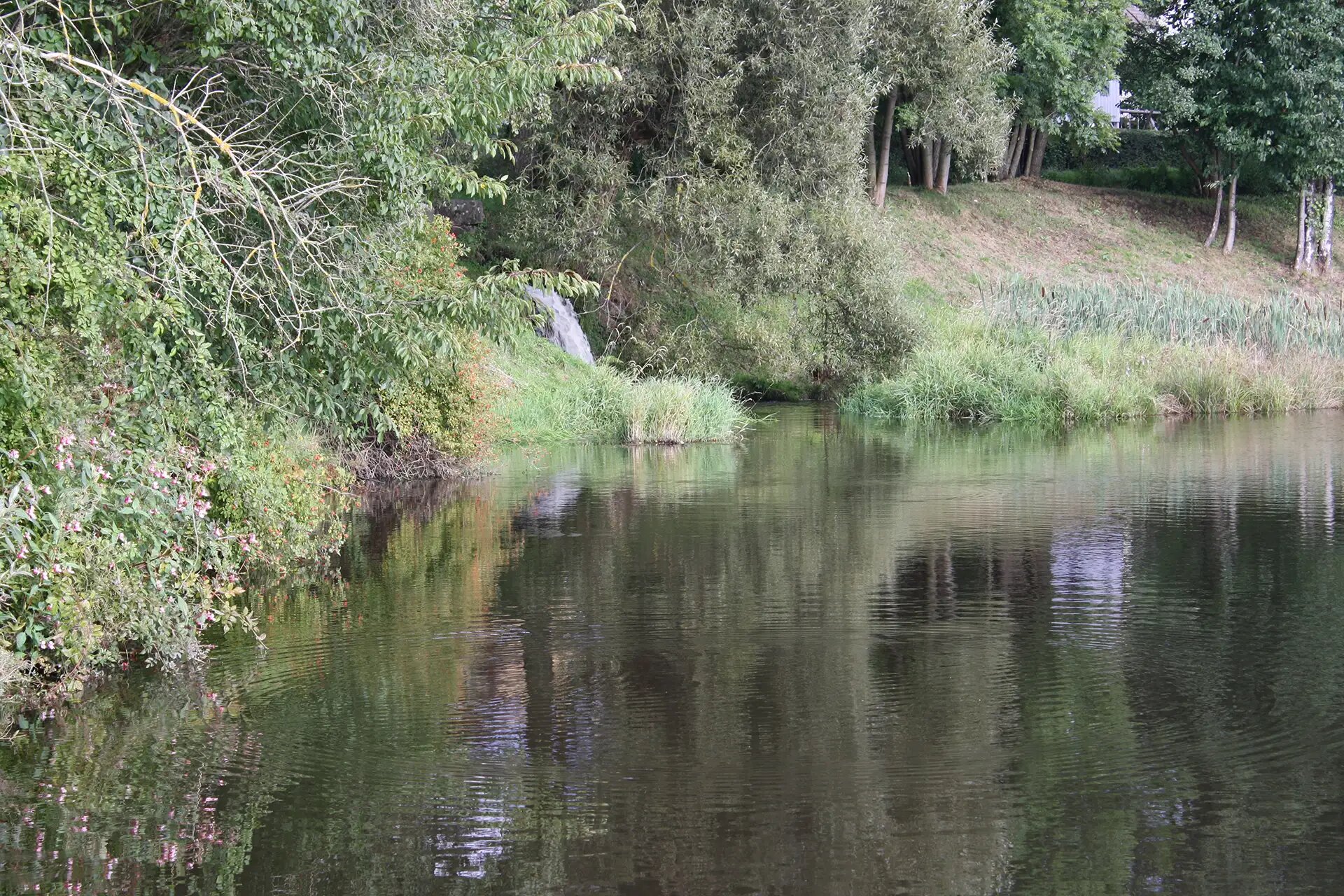 Ruhiger Flusslauf mit üppiger Vegetation am Ufer.
