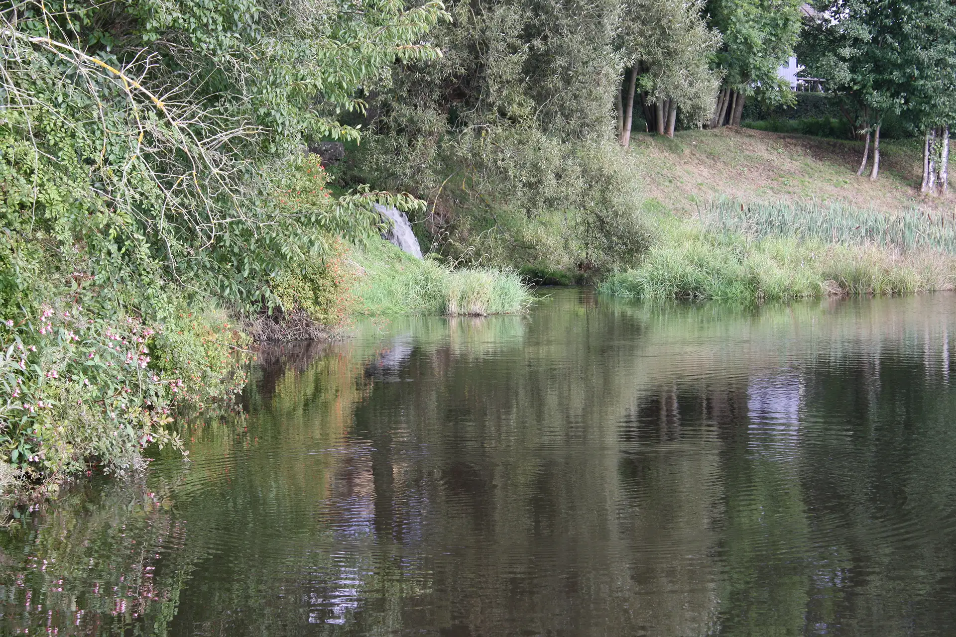 Ruhiger Flusslauf mit üppiger Vegetation am Ufer.