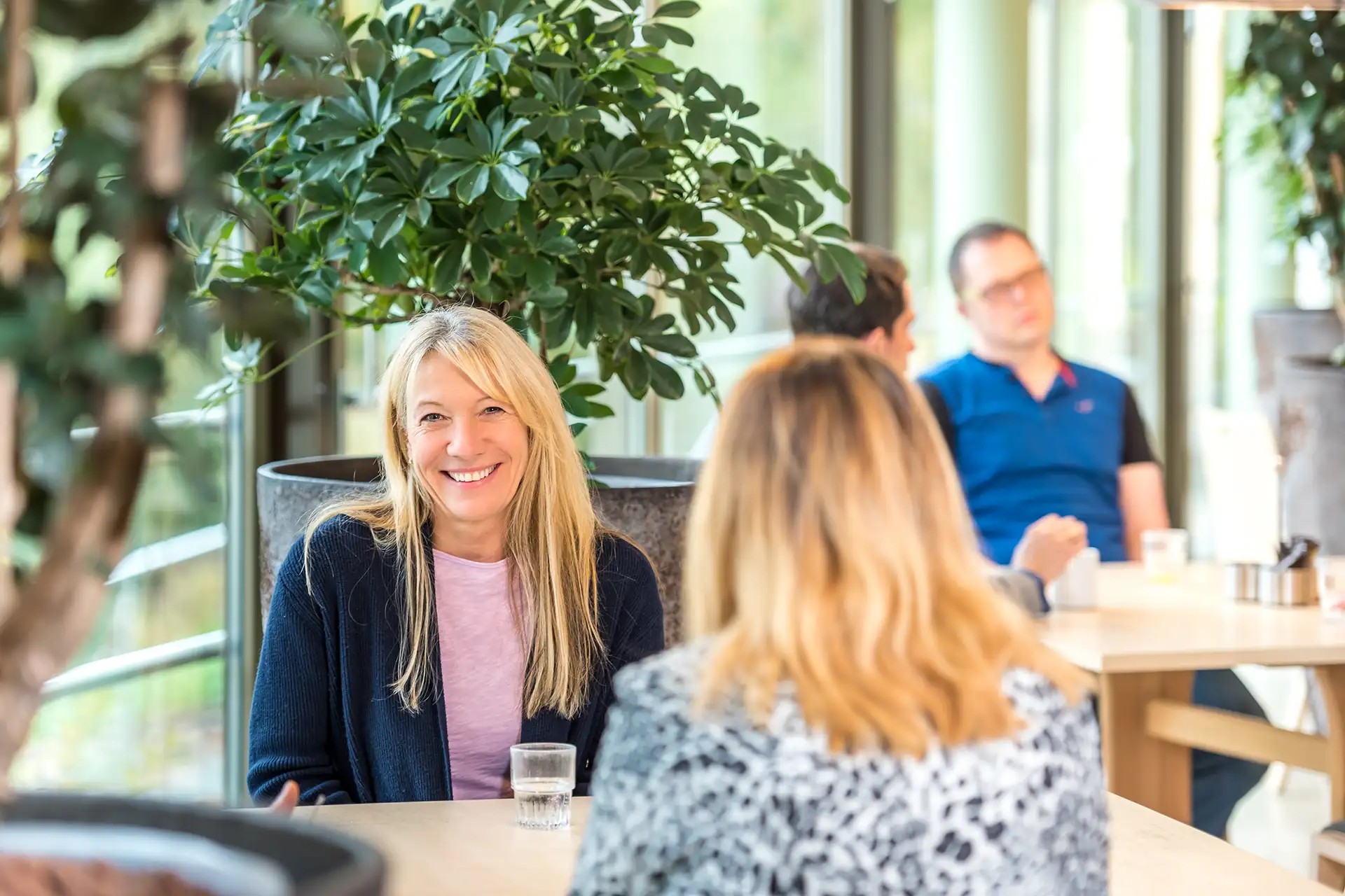 Freundliches Gespräch in einem gemütlichen Café, entspannte Atmosphäre und natürliche Umgebung.