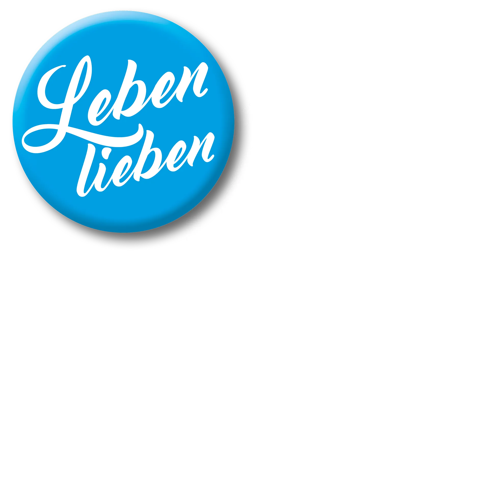 Icon Karriere