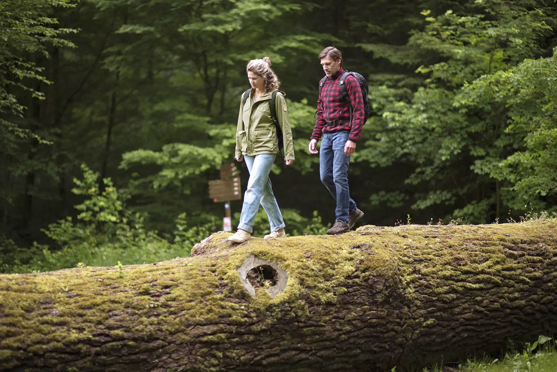 Zwei Personen wandern über einen moosbewachsenen Baumstamm im Wald.