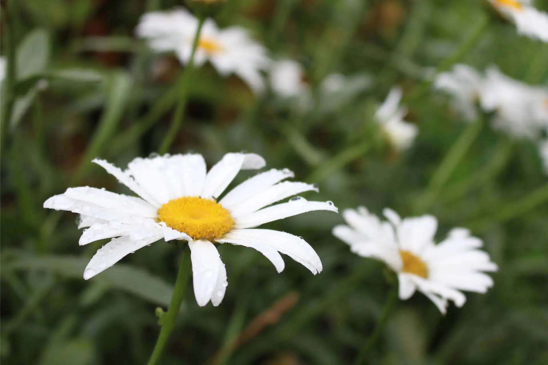 Begegnung hoch 3 – Hochsensibilität in Beziehungen