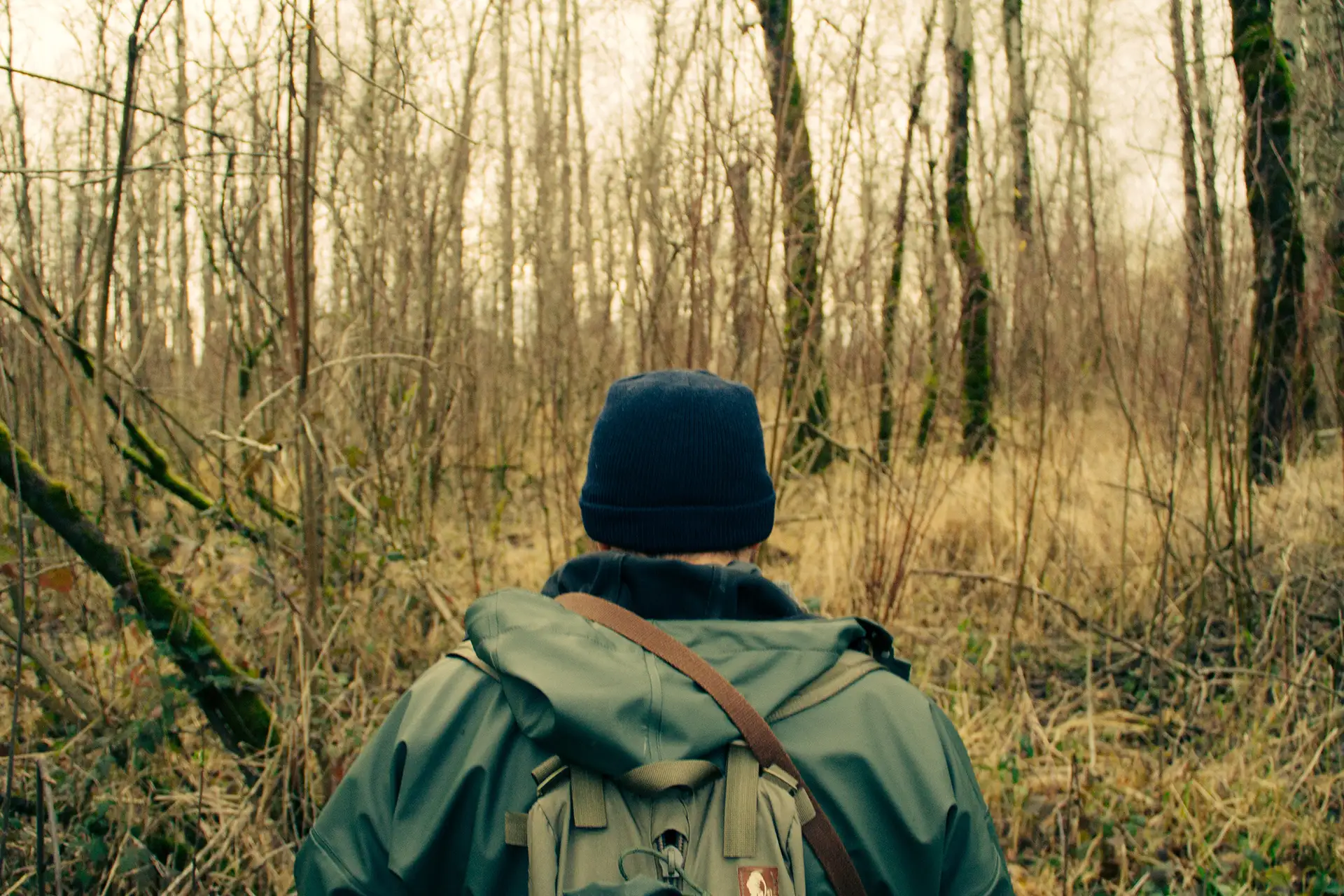 Person mit Rucksack und Mütze steht in einem winterlichen Wald.