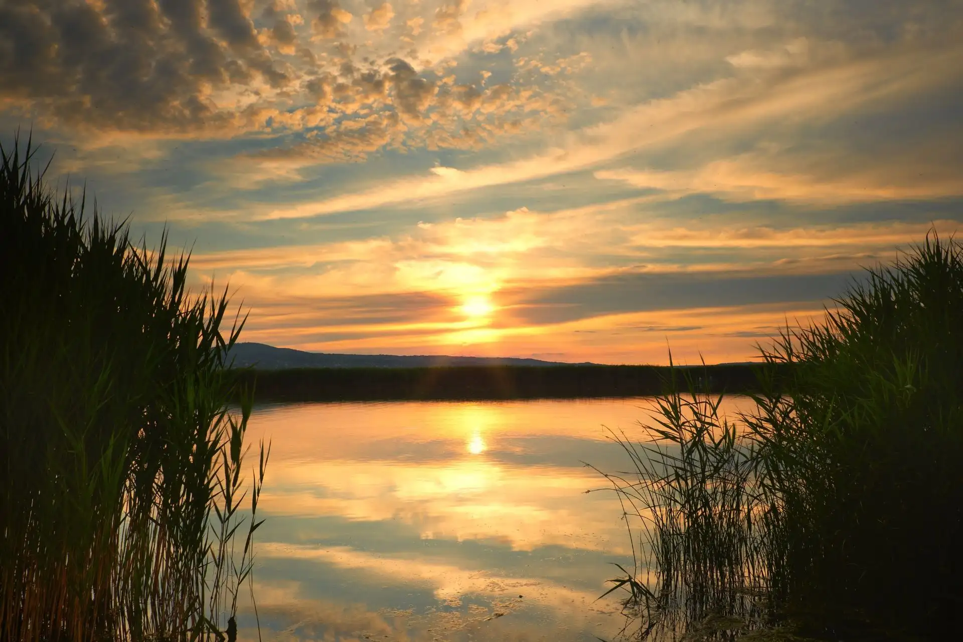 Sonnenuntergang über einem ruhigen See, umgeben von Schilf.