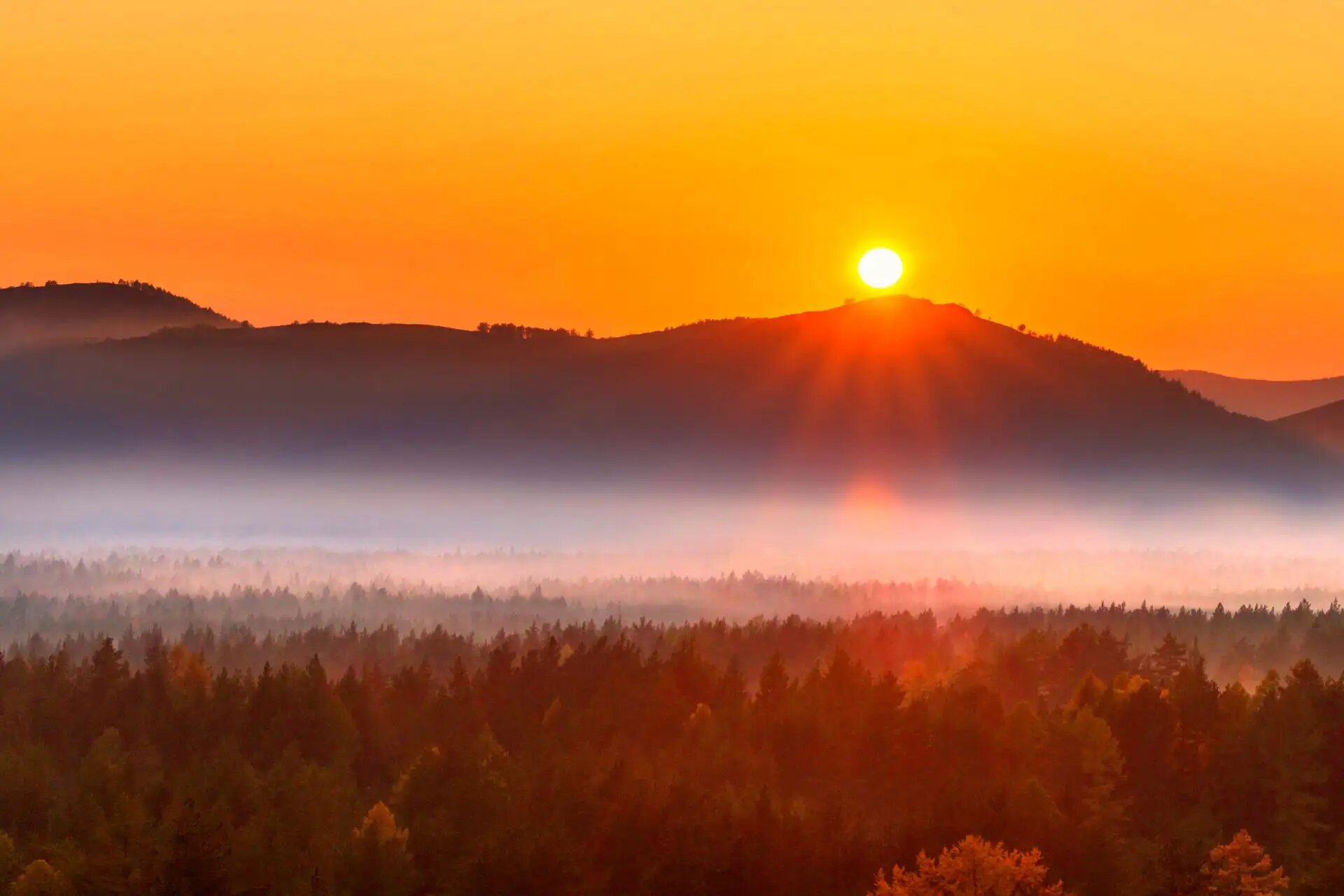 Die Sonne erhebt sich über nebeligen Wäldern, ein neuer Tag beginnt.