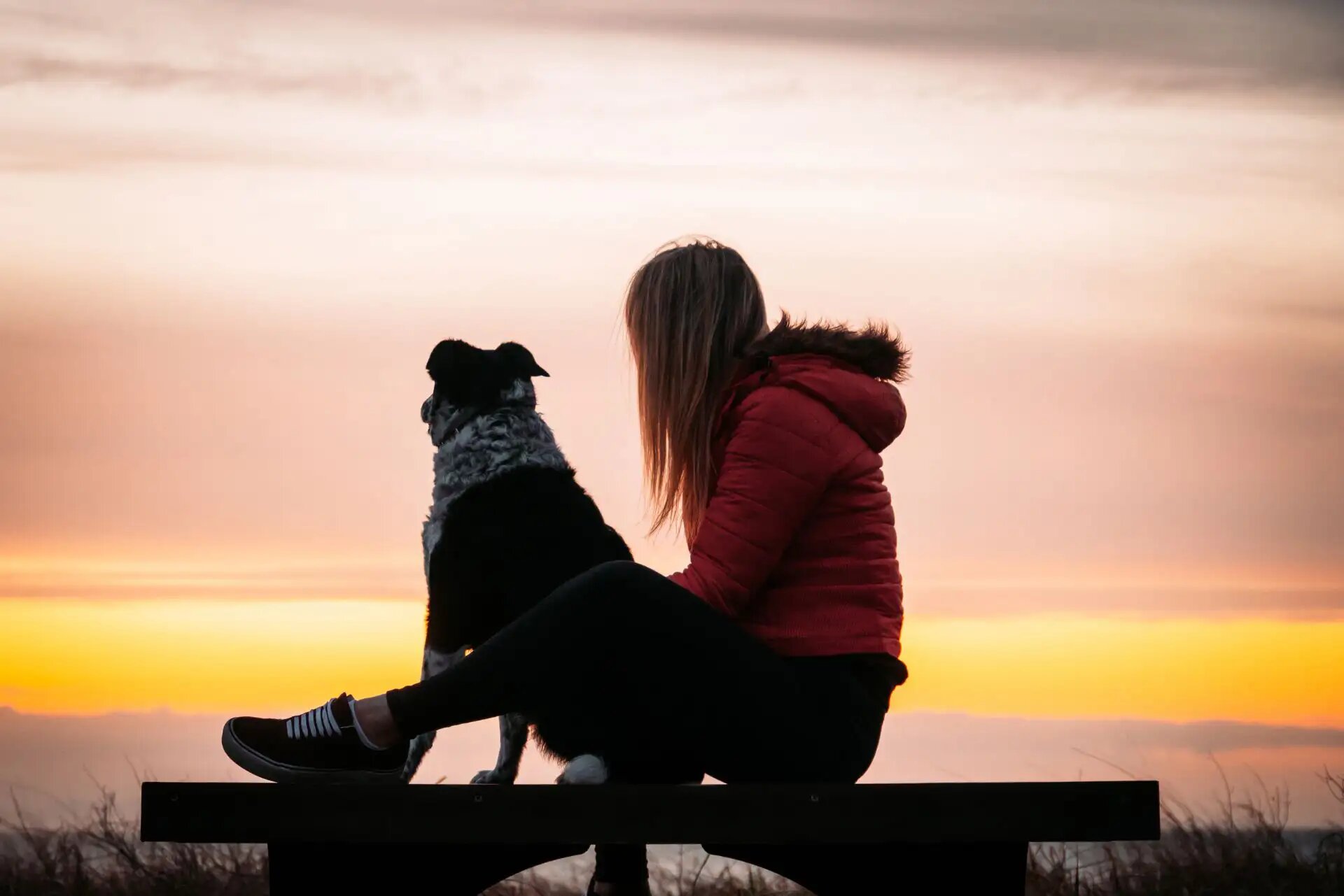 Frau mit Hund genießt gemeinsam einen ruhigen Sonnenuntergang, harmonische Stimmung.