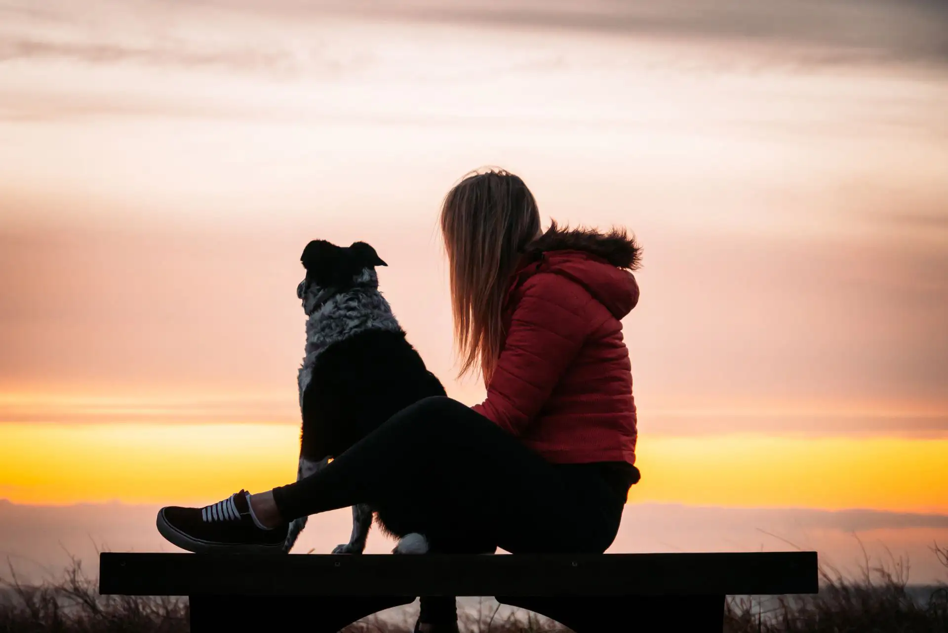 Frau mit Hund genießt gemeinsam einen ruhigen Sonnenuntergang, harmonische Stimmung.