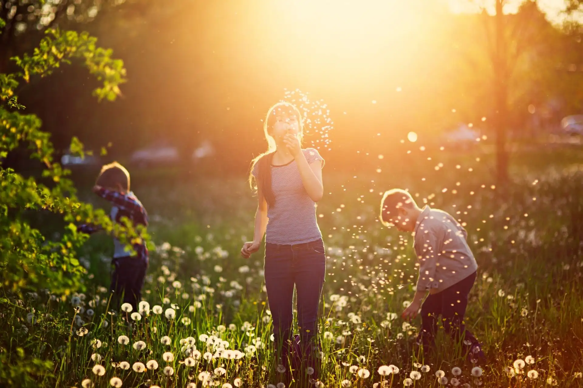 Kinder spielen im Sonnenlicht, pusten Pusteblumen und genießen die Natur gemeinsam.