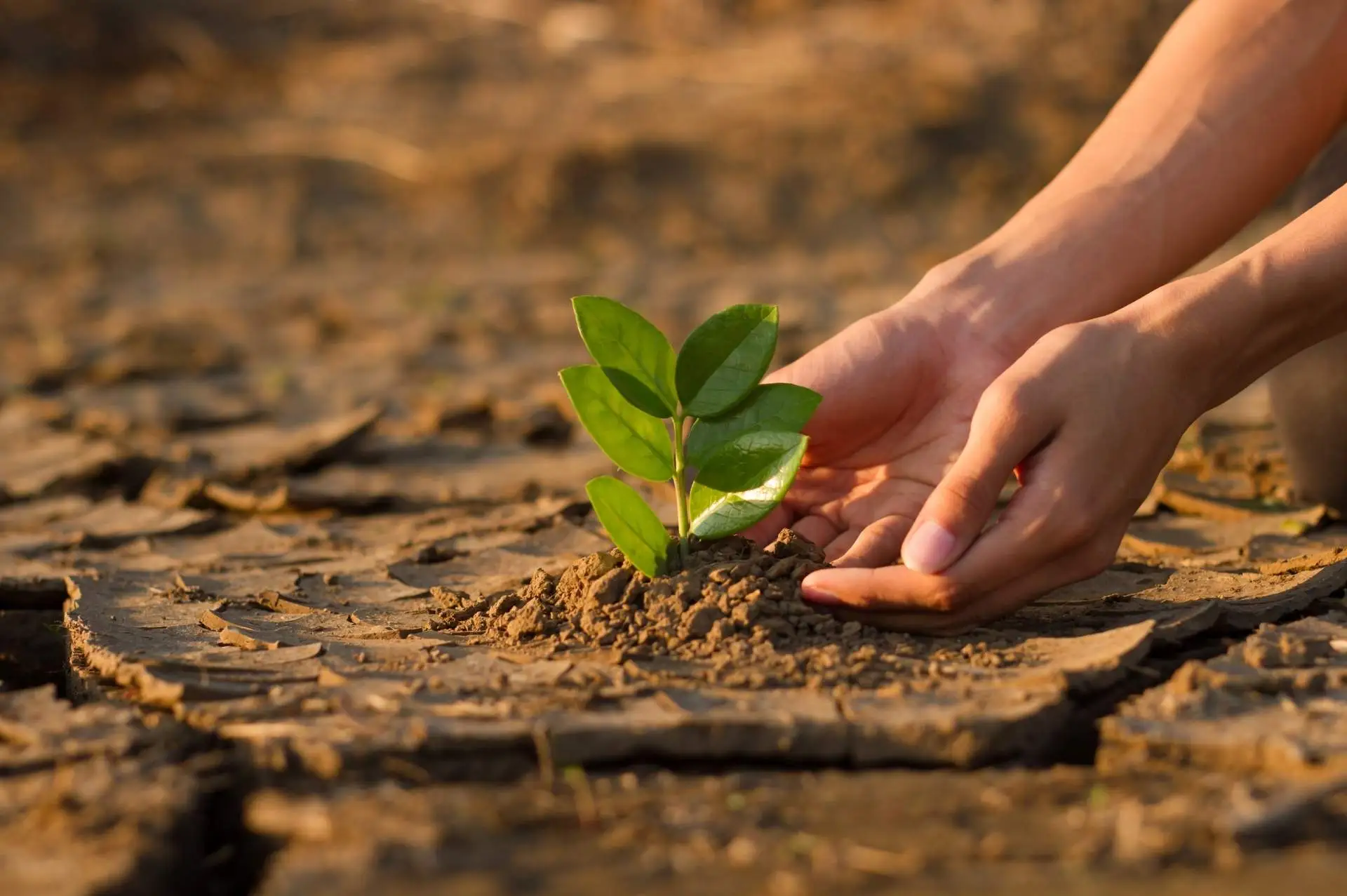 Klimaangst und ihre Folgen – Eco Anxiety