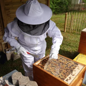 Person in Schutzanzug an einer Bienenbeute.