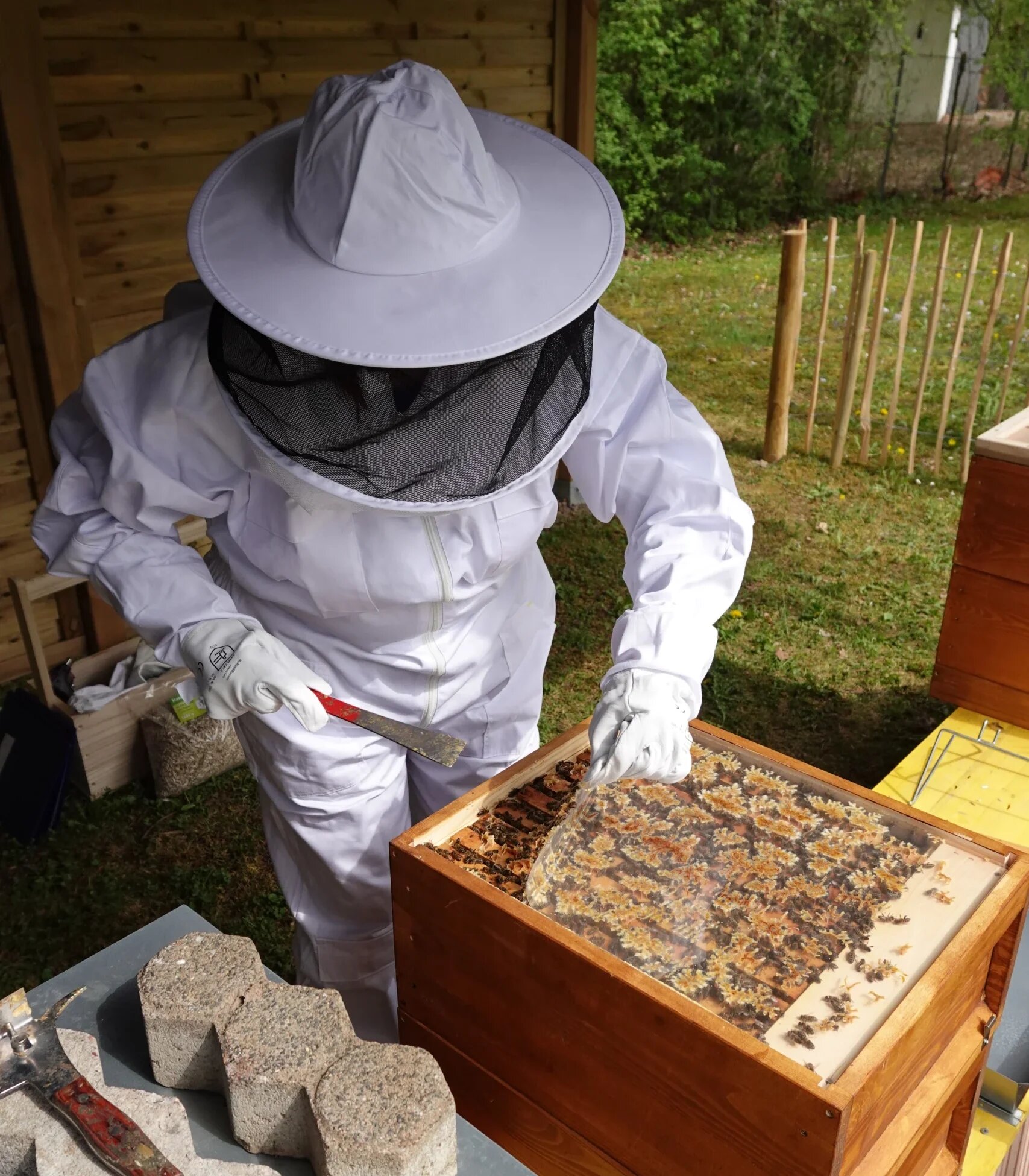 Person in Schutzanzug an einer Bienenbeute.