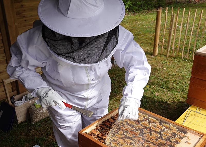 Tiergestützte Therapie mit Bienen in der Parkklinik Heiligenfeld