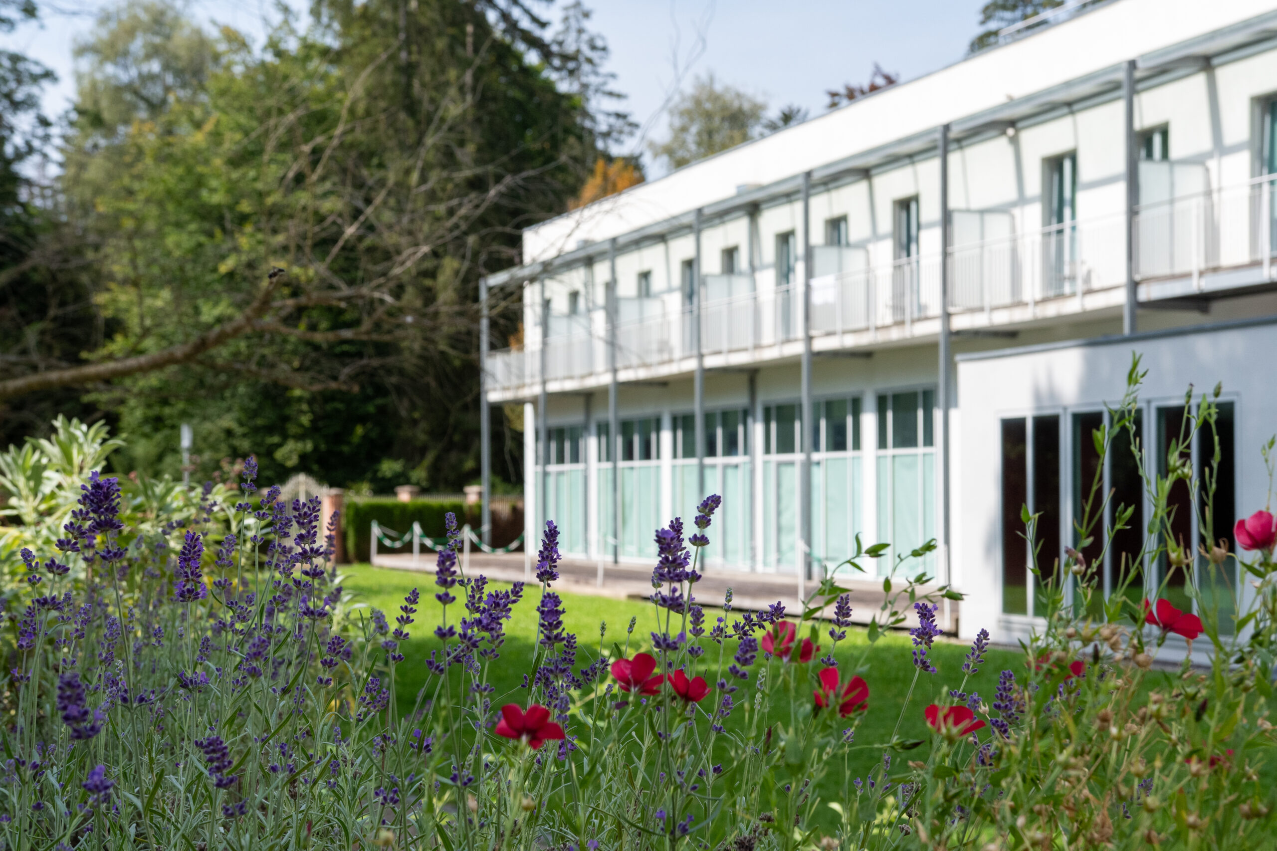 Klinikgelände im Grünen mit Blumen und Bäumen